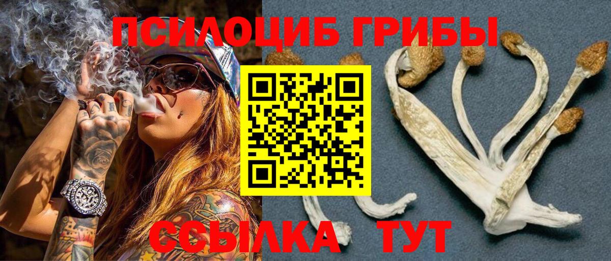 Псилоцибиновые грибы Psilocybine cubensis  Вход с VPN  Нижний Новгород  Псилоцибиновые грибы ЛСД 